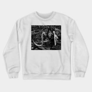 Langust Sculpture. Vladivostok Oceanarium Crewneck Sweatshirt